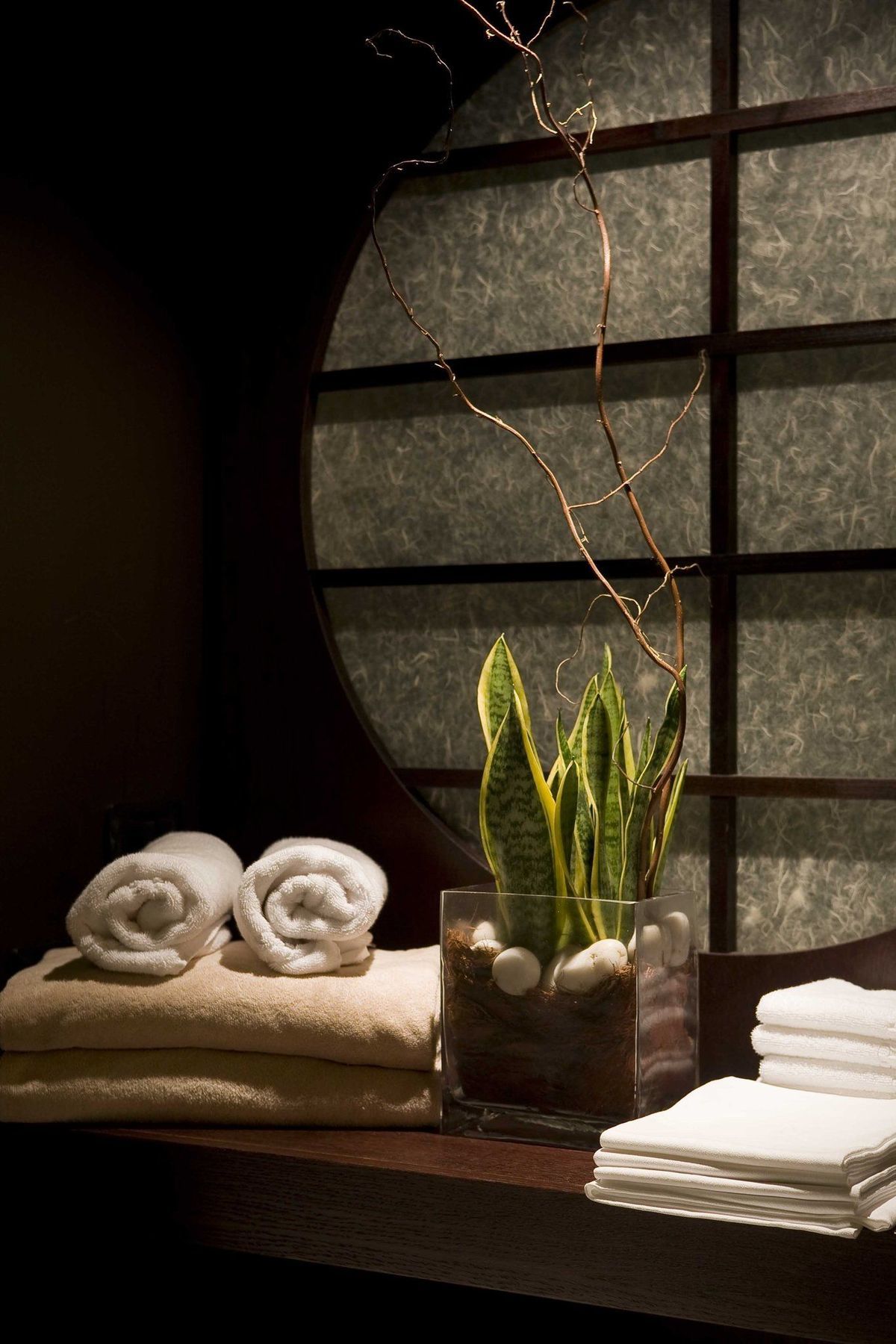 Royal Hotel Sanremo Faciliteter billede Sansevieria trifasciata in a spa